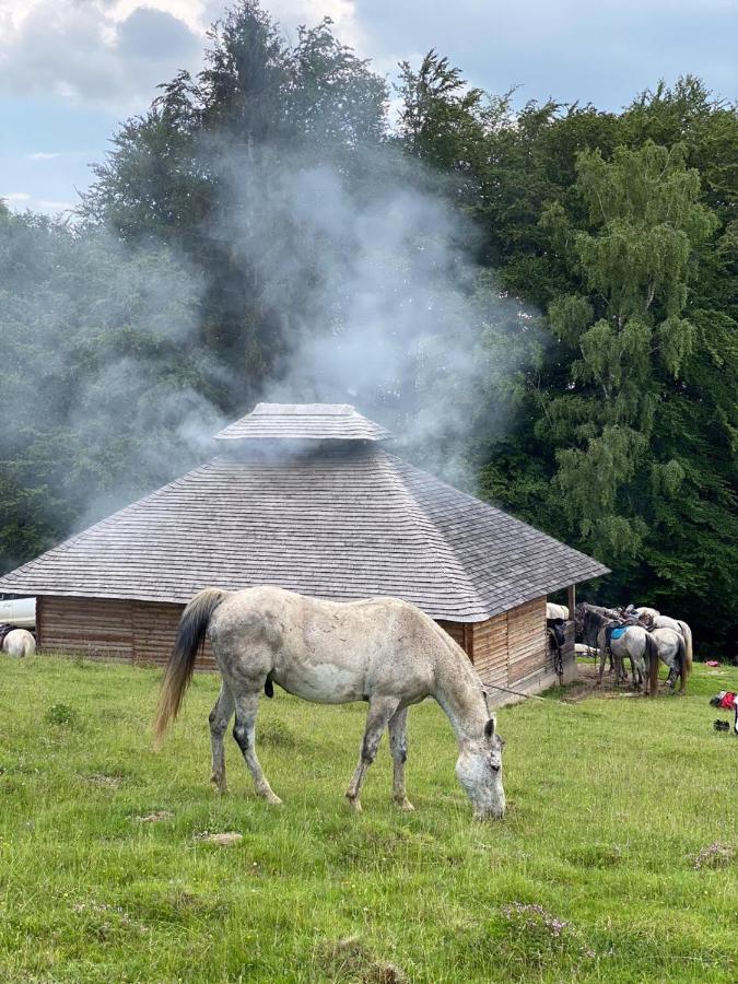 Pensiune Maria Rucăr Esterno foto