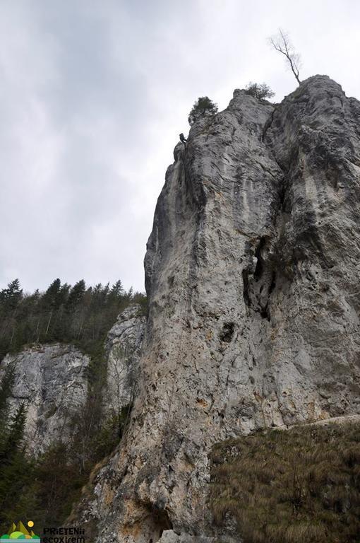 Pensiune Maria Rucăr Esterno foto